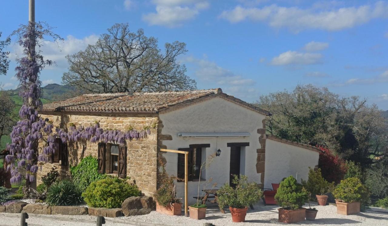 Agriturismo Alla Vecchia Quercia Farm stay