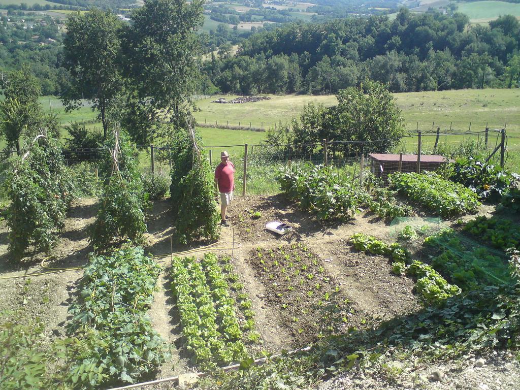 Agriturismo Alla Vecchia Quercia