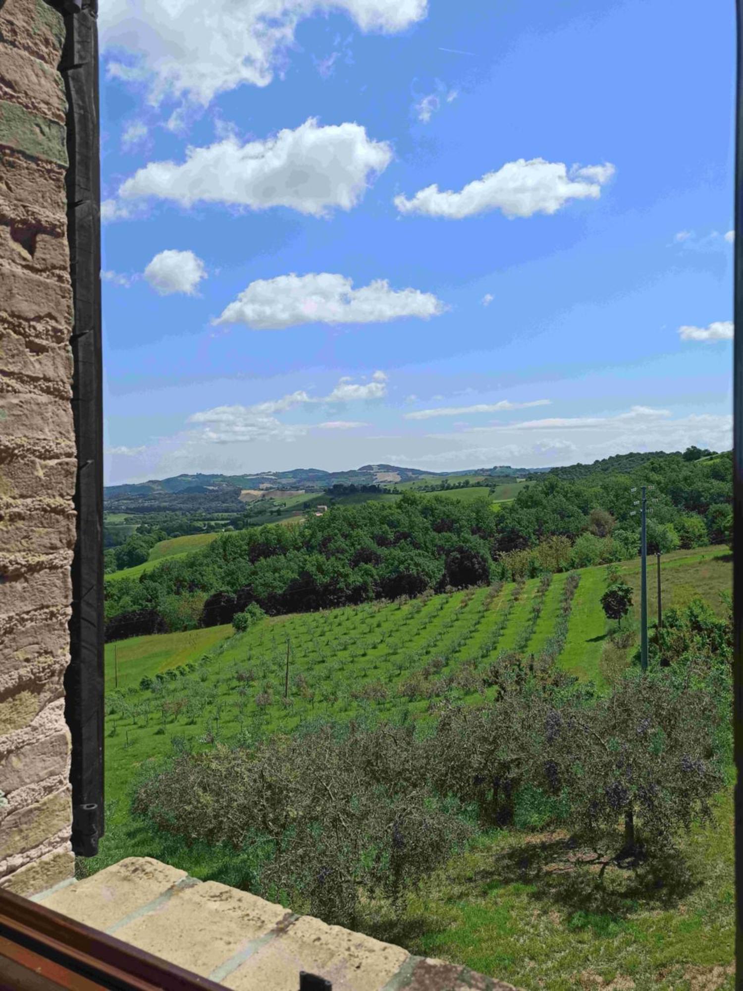 Agriturismo Alla Vecchia Quercia Farm stay Pergola