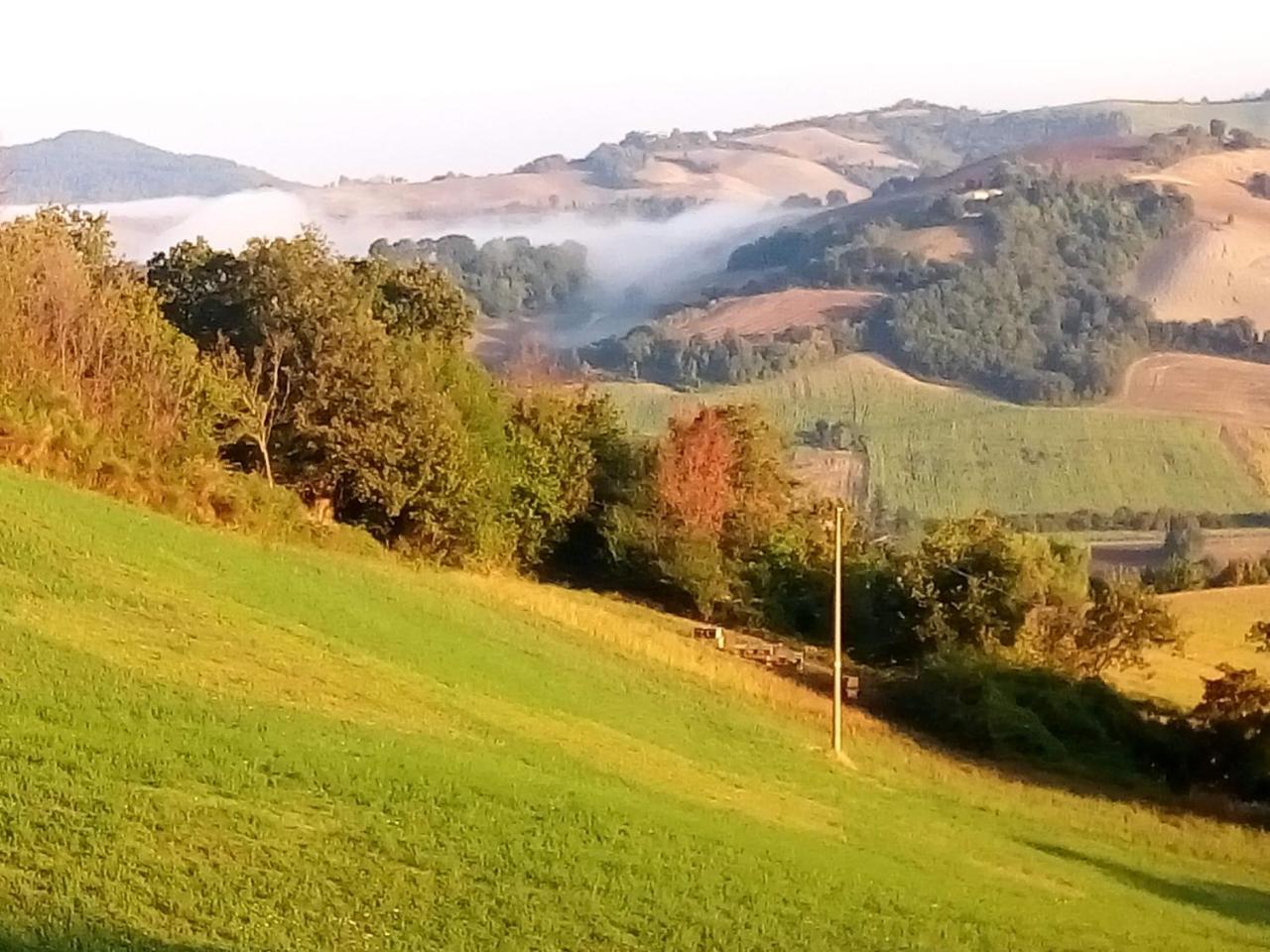 Farm stay Agriturismo Alla Vecchia Quercia